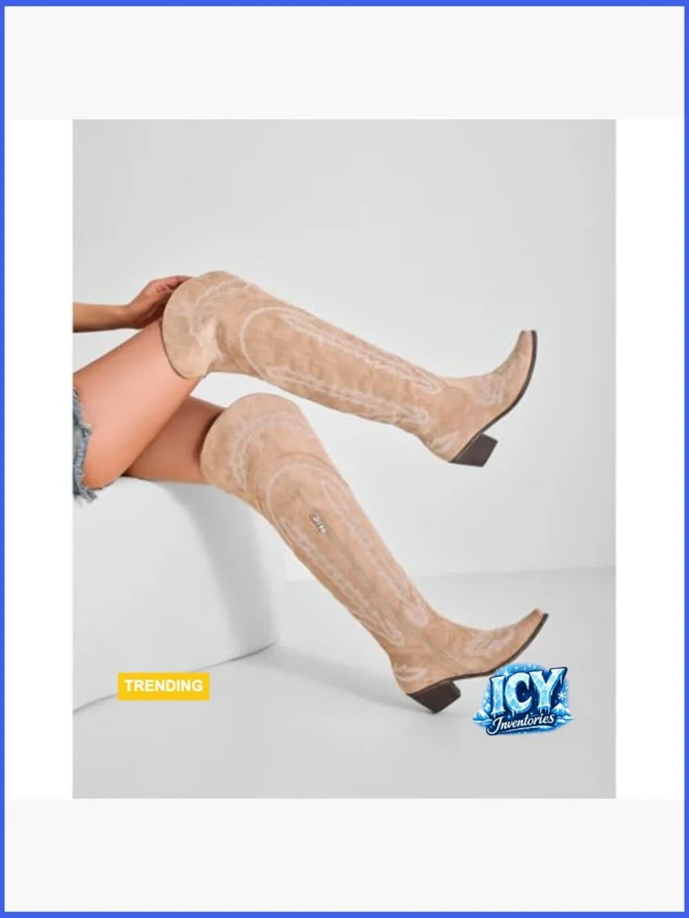 Over the Knee Embroidered Cowboy Boots Chunky Heel Suede Side Zip